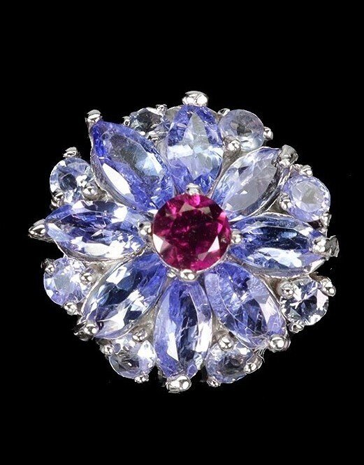 χωρίς τιμή ασφαλείας - Σκουλαρίκια Ασημί Τανζανίτης - Garnet #4.3