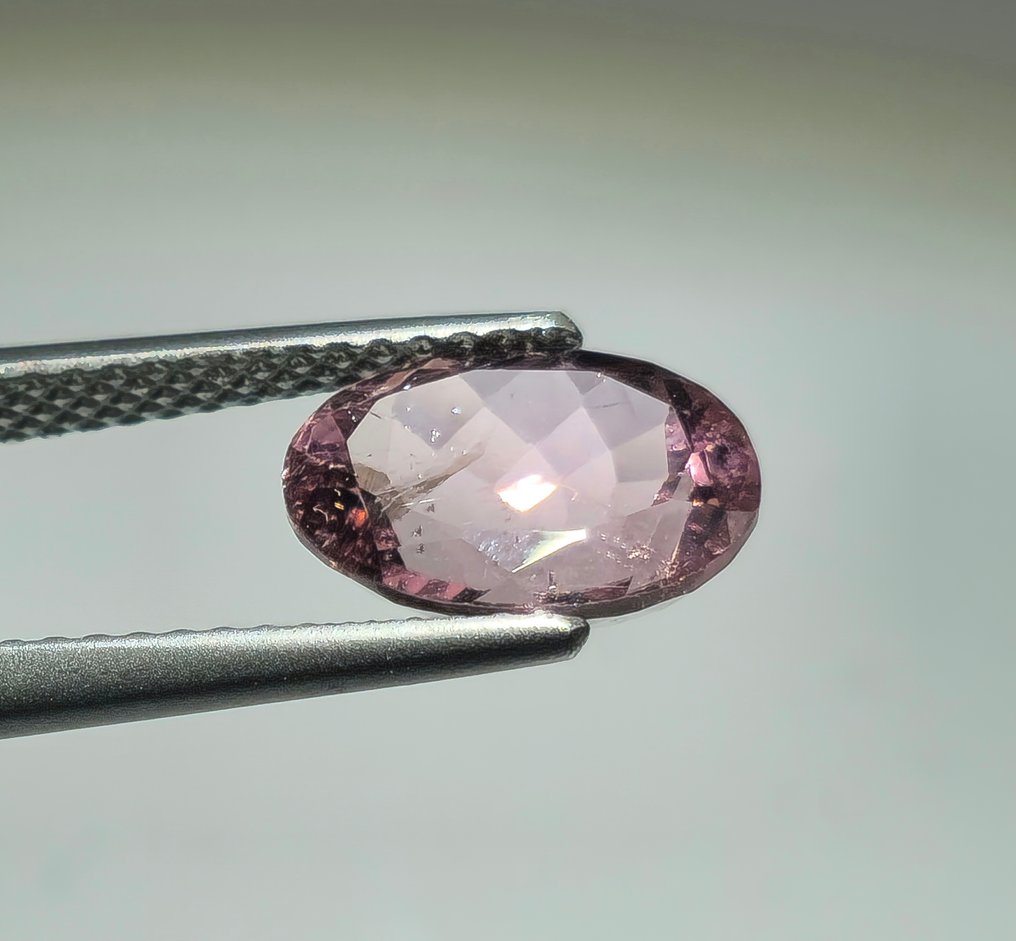 没有保留价 - 1 pcs  粉色 电气石  - 2.36 ct - 国际宝石研究院（IGI） - 鲁贝拉特 #3.2