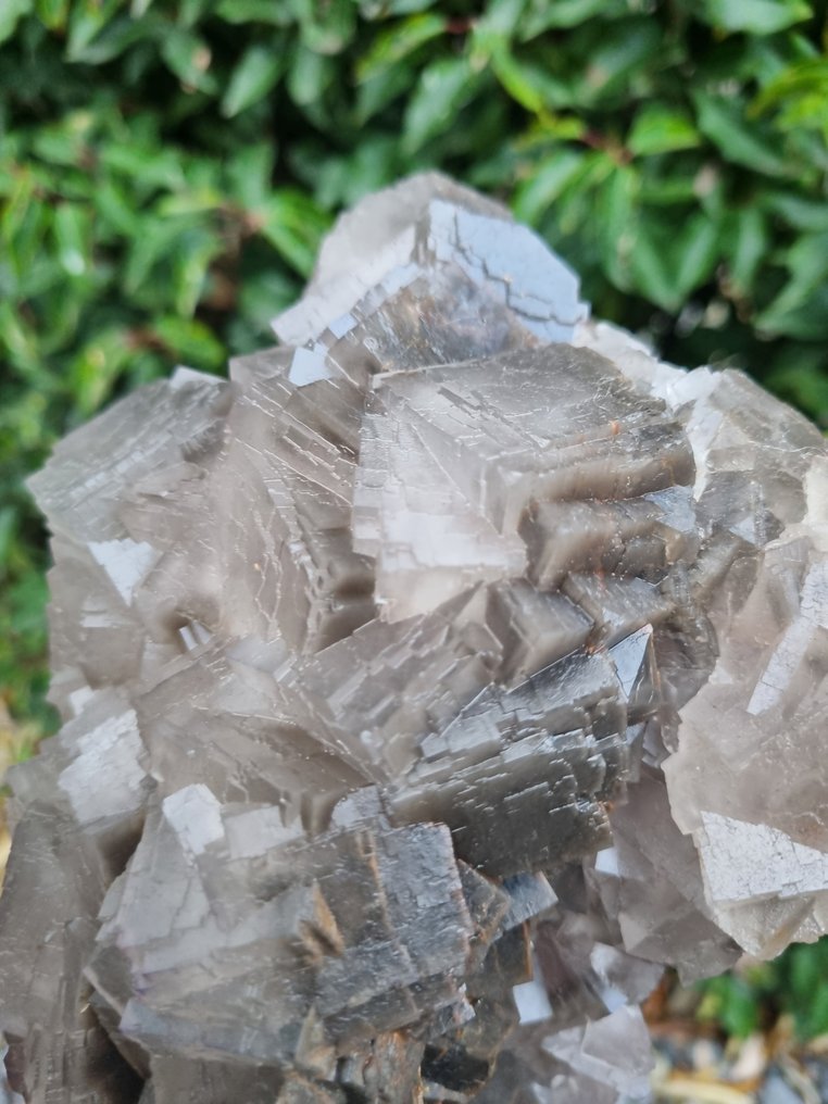 XXL High Quality Grey Fluorite - Height: 215 mm - Width: 145 mm- 2910 g #4.3