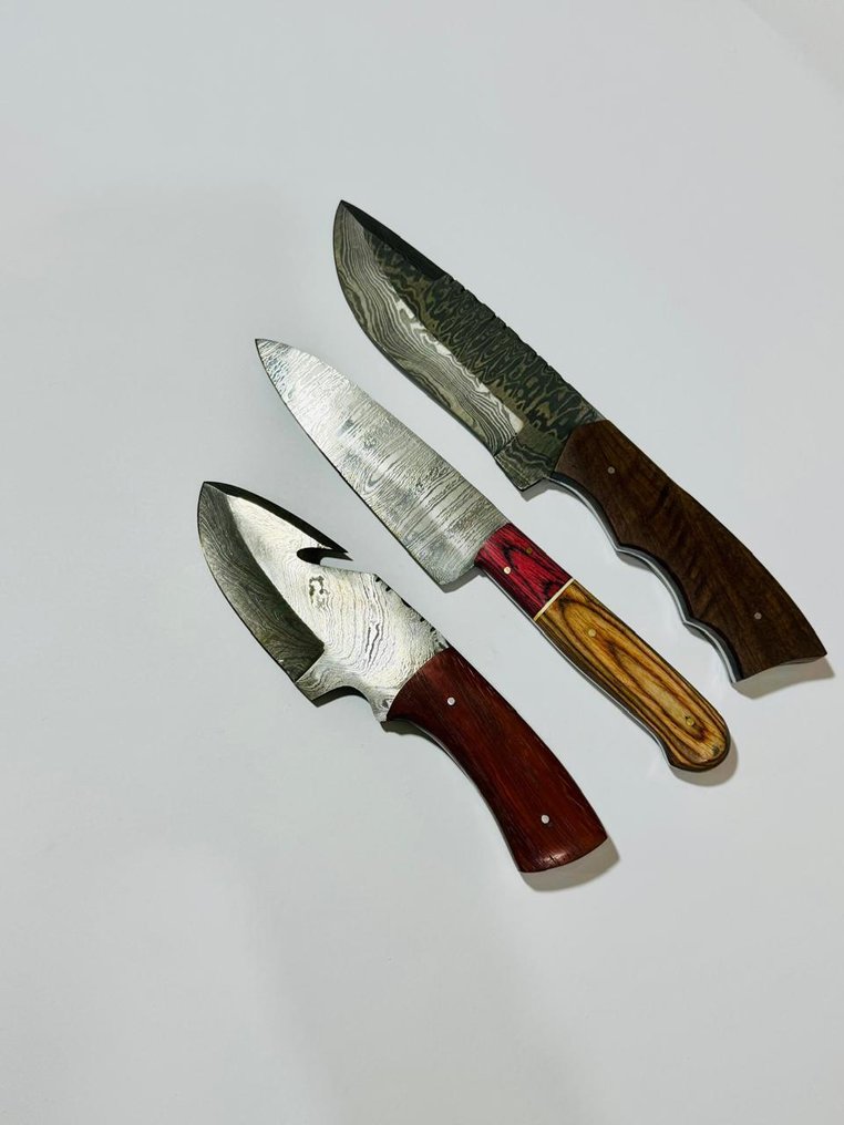 Μαχαίρι κουζίνας -  Μαχαίρι τραπεζαρίας (0088) - Χερούλι από εξωτικά αμερικανικά ξύλα και διπλωμένο ατσάλι. - Ηνωμένες Πολιτείες - Μαχαίρι τραπεζαρίας #1.0