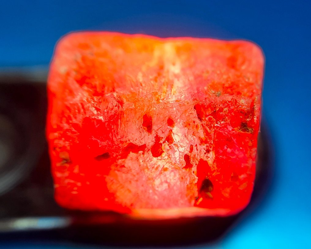 100 cts - käsittelemätön rubiini Karkea- 20 g #4.3