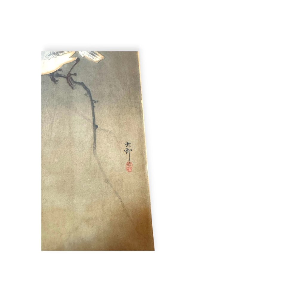 Ohara Koson (Shōson) – "Japanese Waxwings on Bittersweet Vine", Original Print with Condition Issues - Japan - Meiji period (1868-1912) #3.2