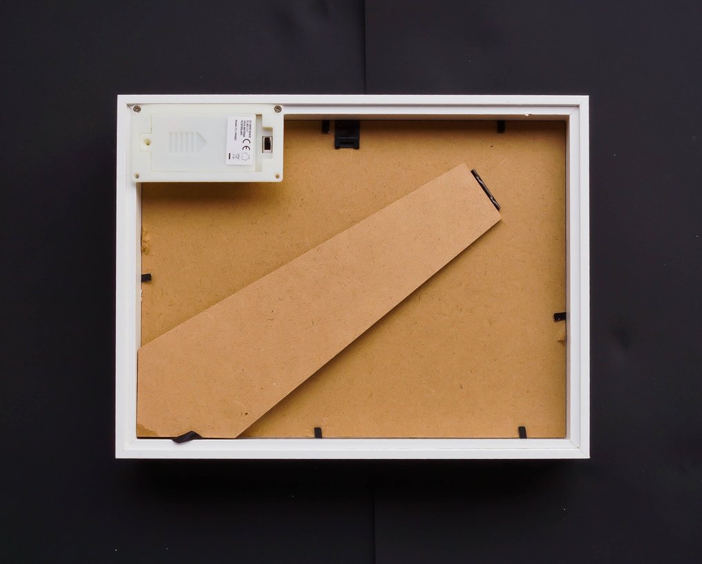 Sommerfugl Taksidermi fuld kropsmontering - Morpho didius met ledverlichting - 21.5 cm - 26.5 cm - 5 cm #4.3