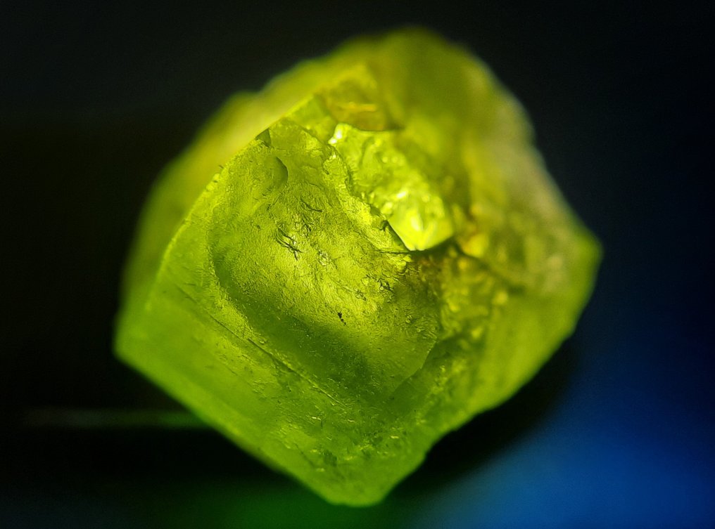 POKER GEMS - 32,9 ct - Natürlicher Smaragd, Rubin, Saphir, Peridot roh- 6.58 g #4.3