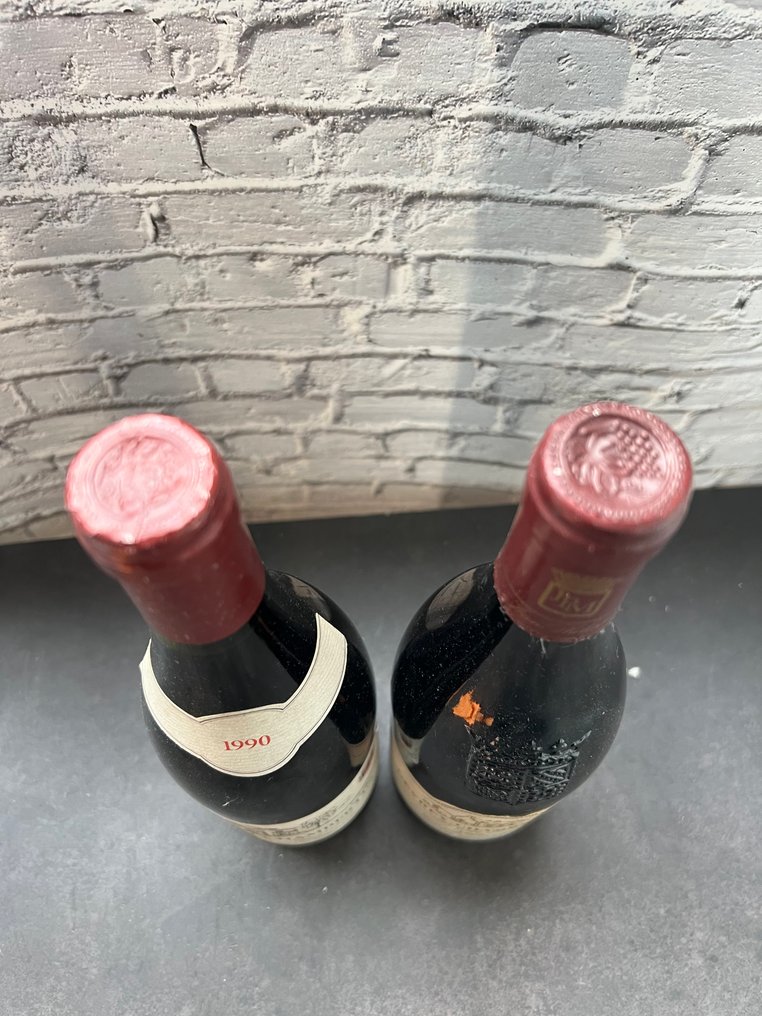 1990 Domaine G. Roblot-Marchand 1° Cru & 1992 Domaine Jean-Philippe Marchand - Gevrey Chambertin - 2 Flasker (0,75 L) #4.3