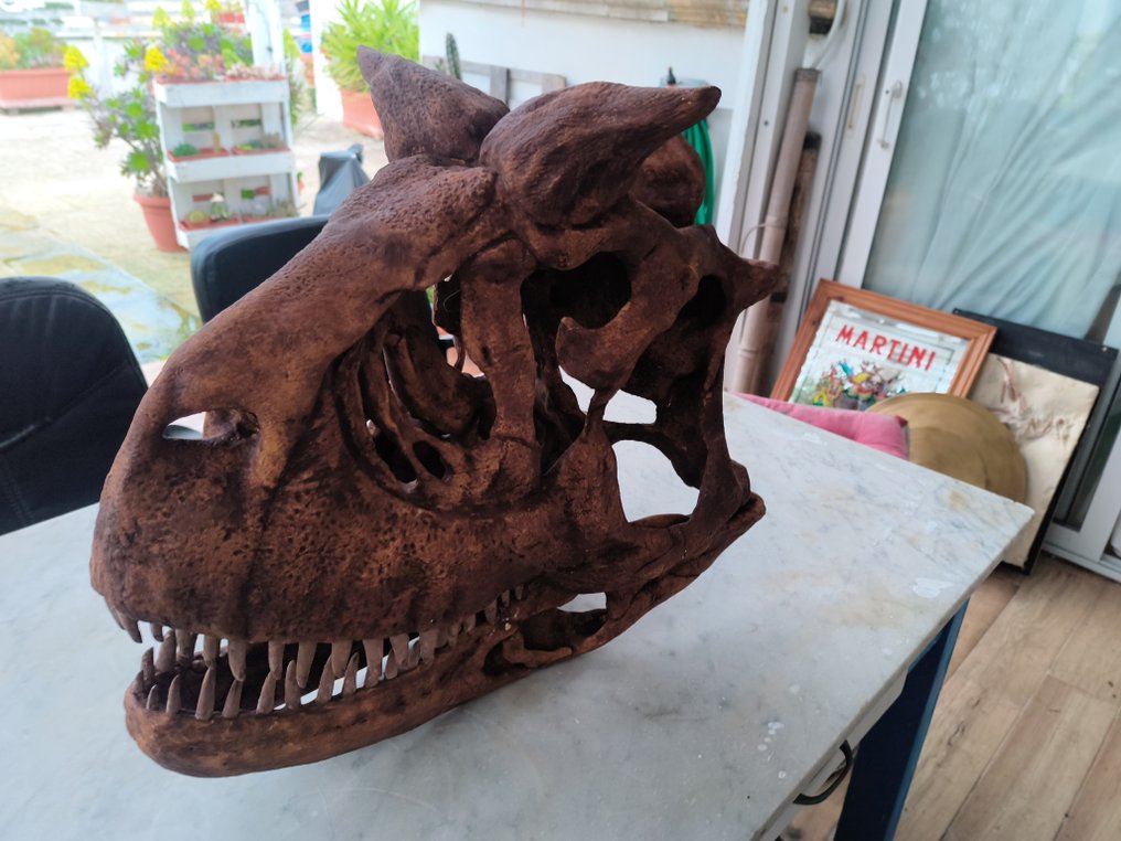 Dinosaur Reptile skull - Carnotaurus - 52 cm - 31 cm - 57 cm #3.2