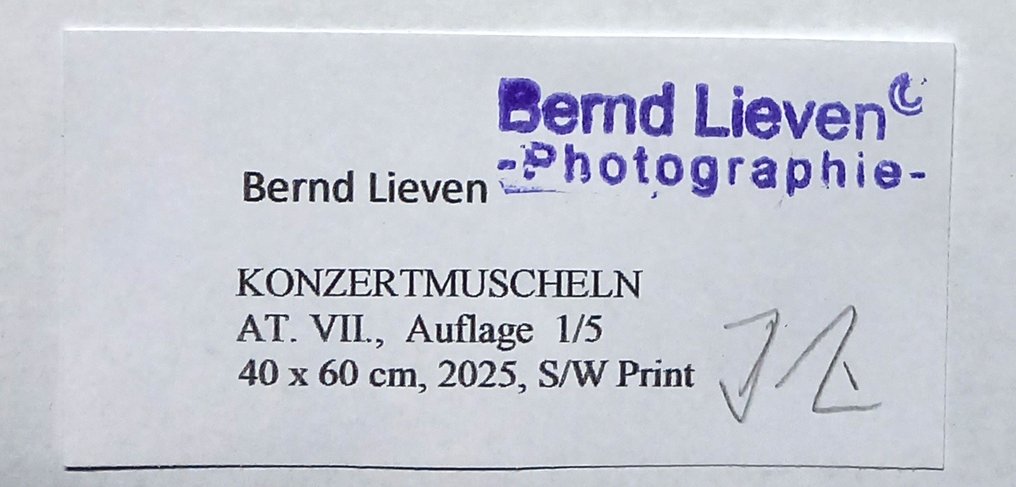 Bernd Lieven - KONZERTMUSCHELN At. No.VII #4.3