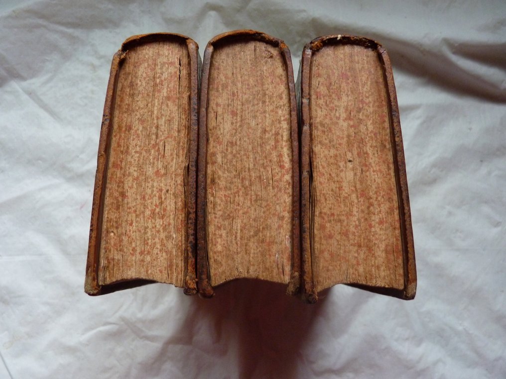 Pierre le Roy/ Jean Passerat/Nicolas Rapin - Satyre menippée de la vertu du catholicon d'Espagne et de la tenue des états de Paris - 1709-1711 #4.3