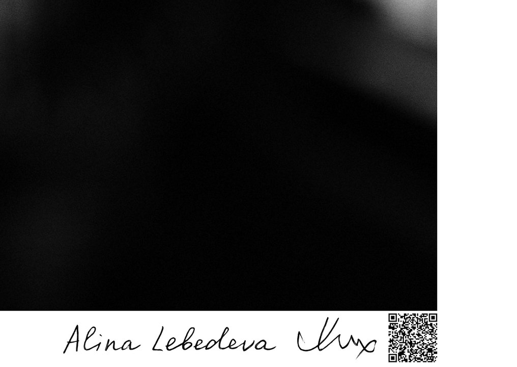 Alina Lebedeva - Untitled #3.2