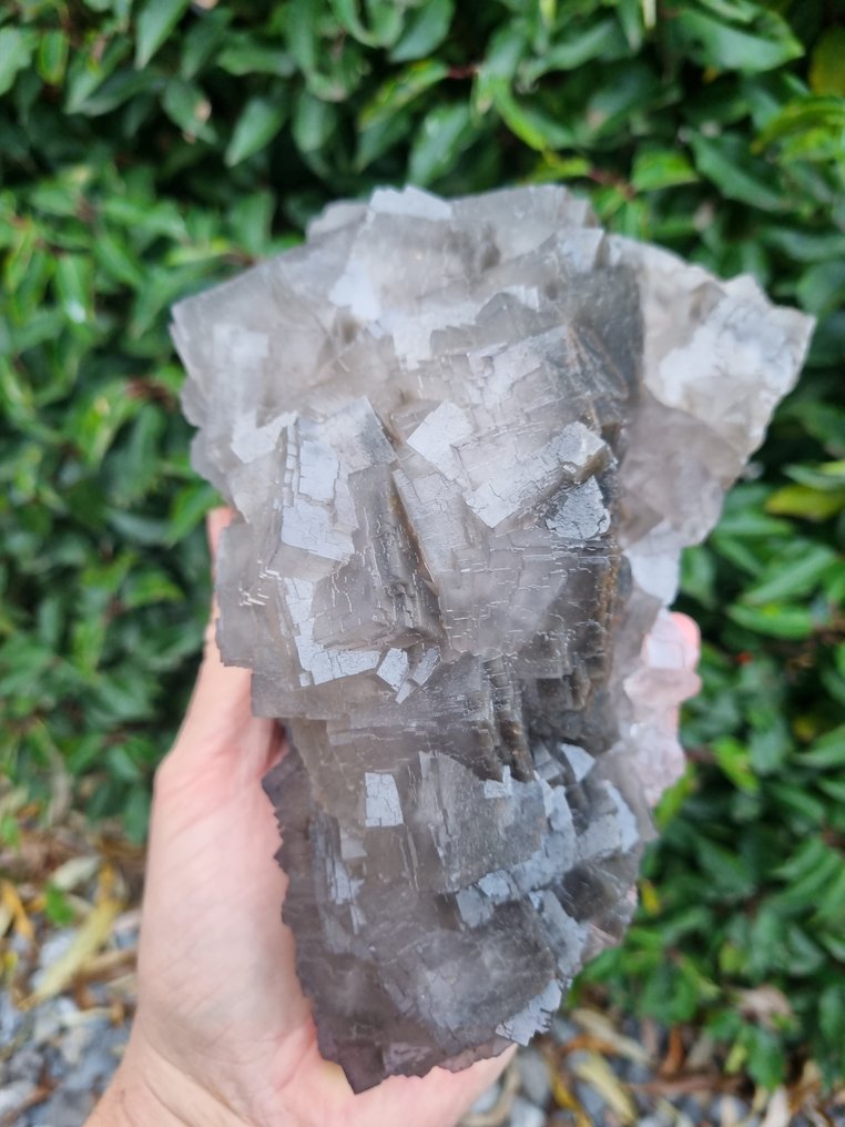 XXL High Quality Grey Fluorite - Height: 215 mm - Width: 145 mm- 2910 g #2.1