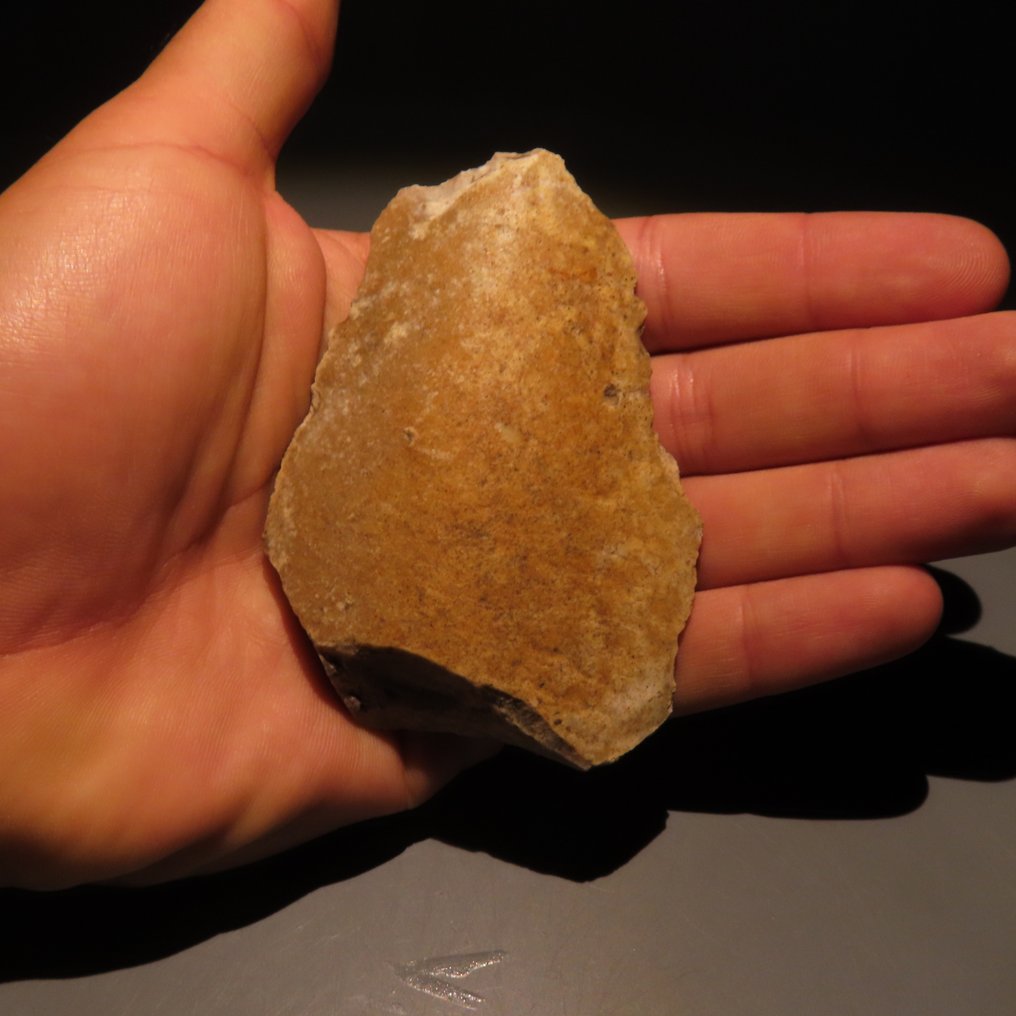 新石器時代 燧石 工具。斯皮恩,公元前4500-3500年。9厘米高。西班牙进口许可证。 (沒有保留價) #4.3