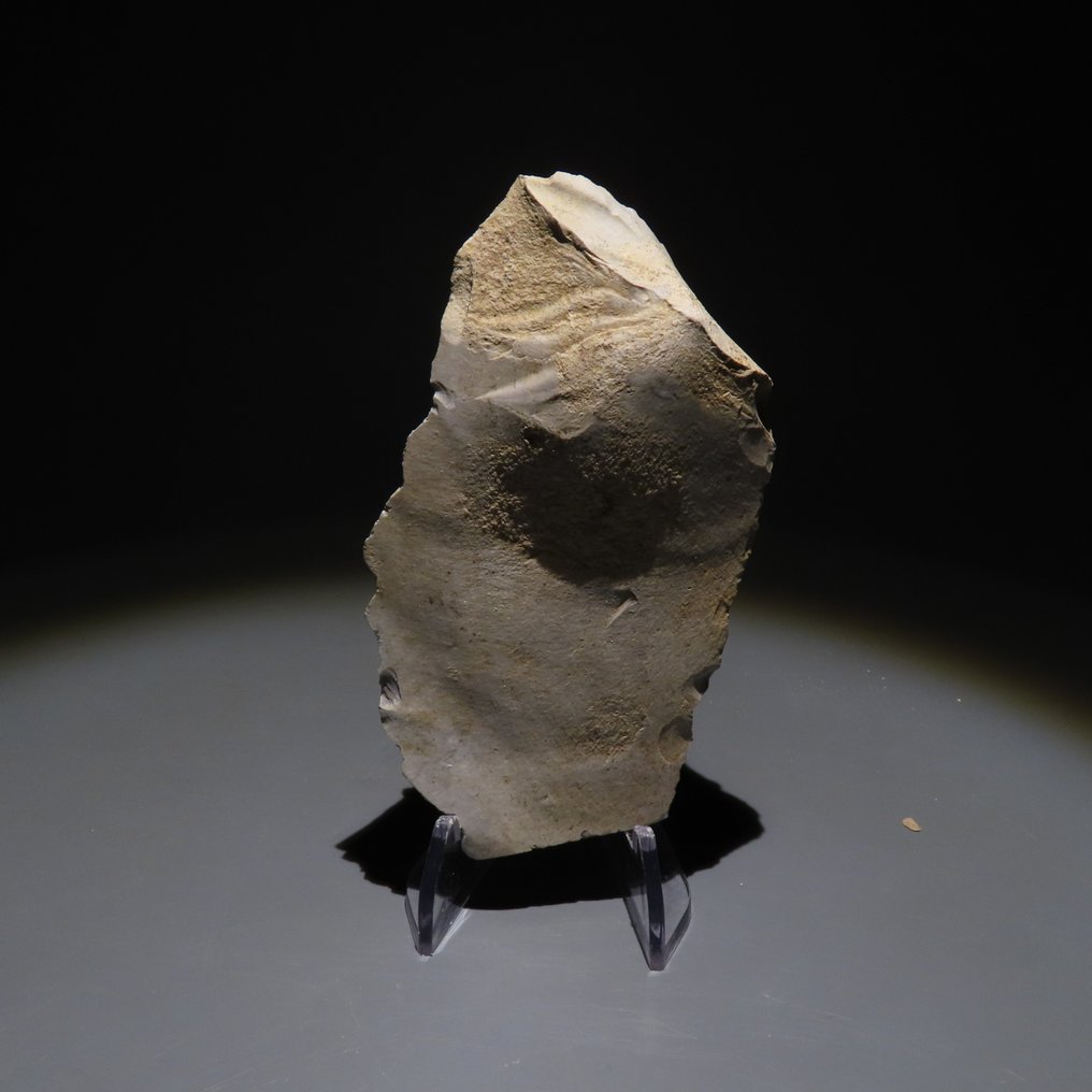 新石器時代 燧石 工具。Spiennes,公元前4500-3500年。高10厘米。西班牙进口许可证。 (沒有保留價) #3.2