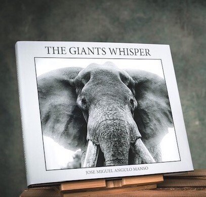 José Miguel Angulo (1969, Madrid, Spain) - The Giants Whisper, signed book - 2023 #1.0