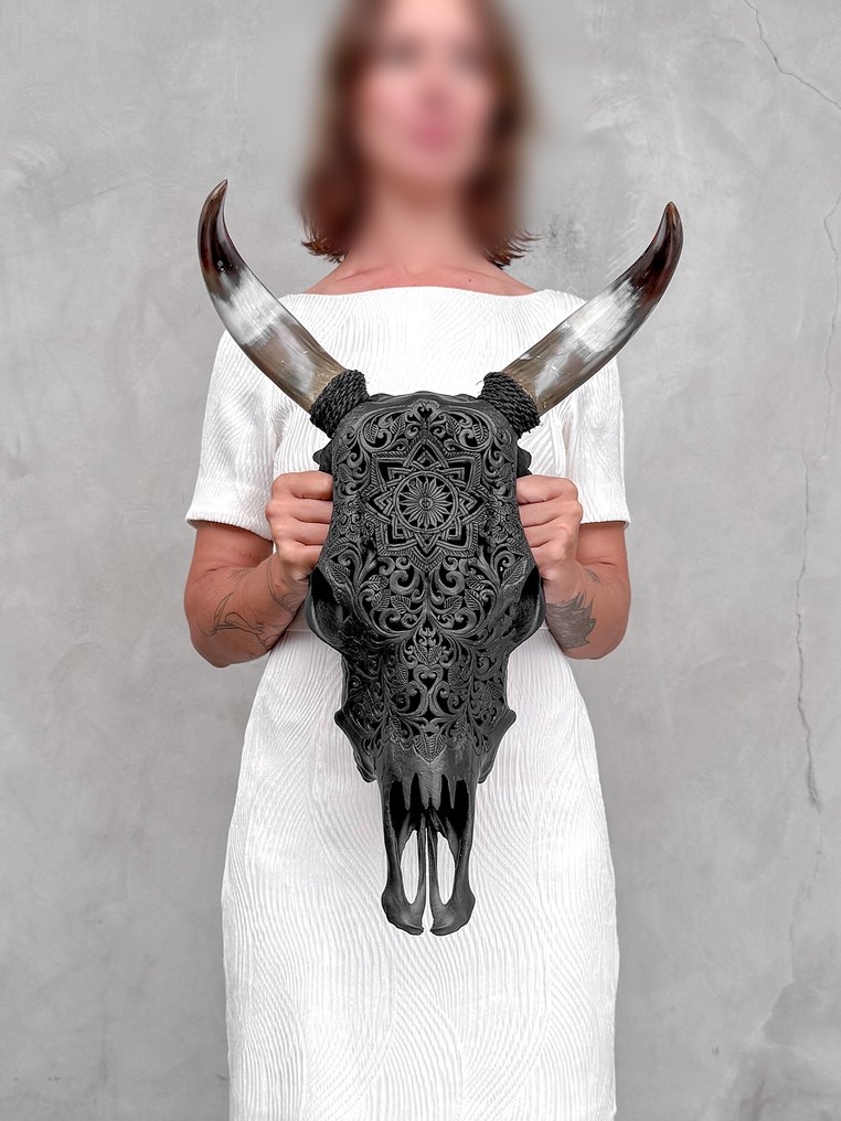 无底价 - 手工雕刻黑色牛头骨 - 星辰曼陀罗图案 雕刻的颅骨 - Bos taurus - 53 cm - 36 cm - 20 cm- 非《濒危物种公约》物种 -  (1) #2.1