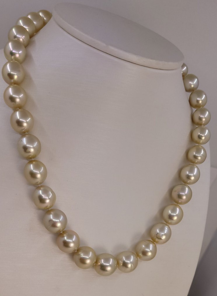 Nyaklánc - 14 kt. Fehér arany, ALGT Tanúsított Arany Déli Tenger Gyöngyök - 10,0x13,0mm #1.0