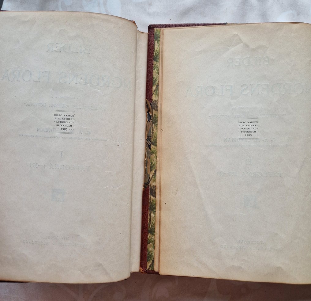 C.A.M. Lindman - Bilder ur Nordens Flora - 1901-1901 #1.0