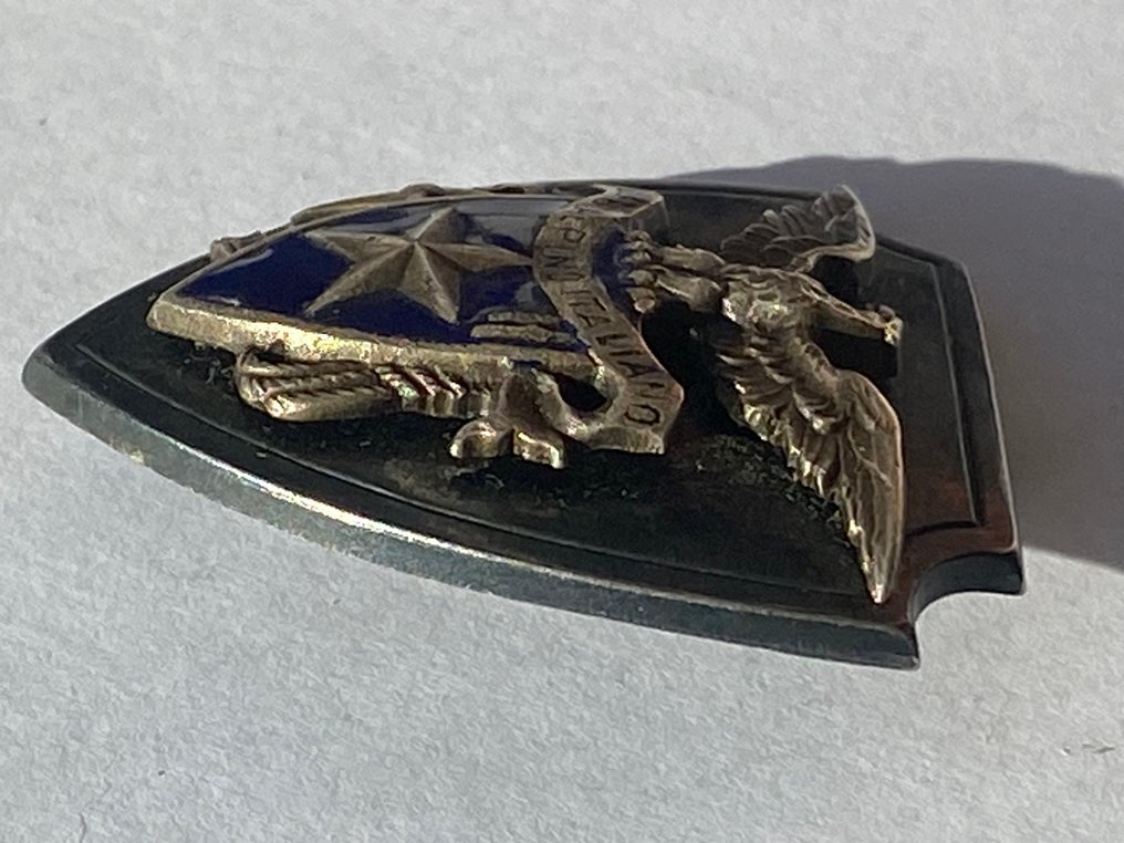 義大利 - 軍功章 - CAI登山俱乐部意大利徽章，金属与珐琅制成，带浮雕鹰图案 #2.1