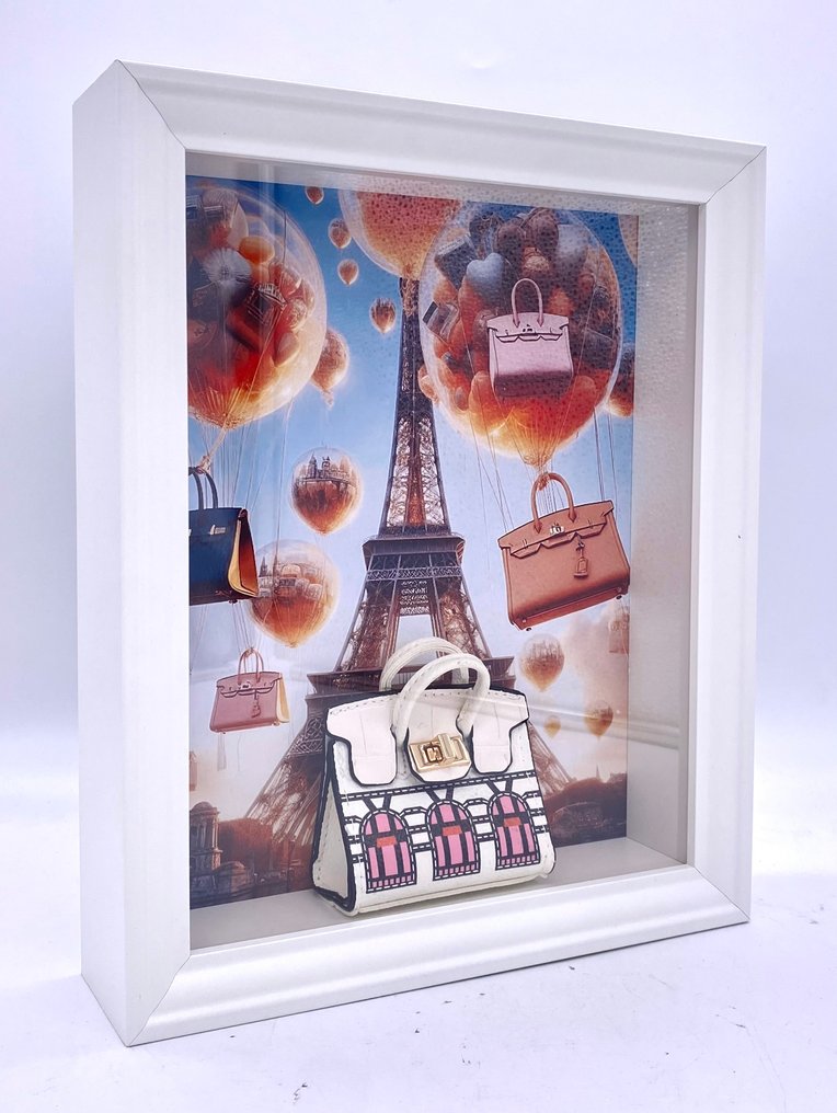 MVR - Birkin Rain in Paris #1.0