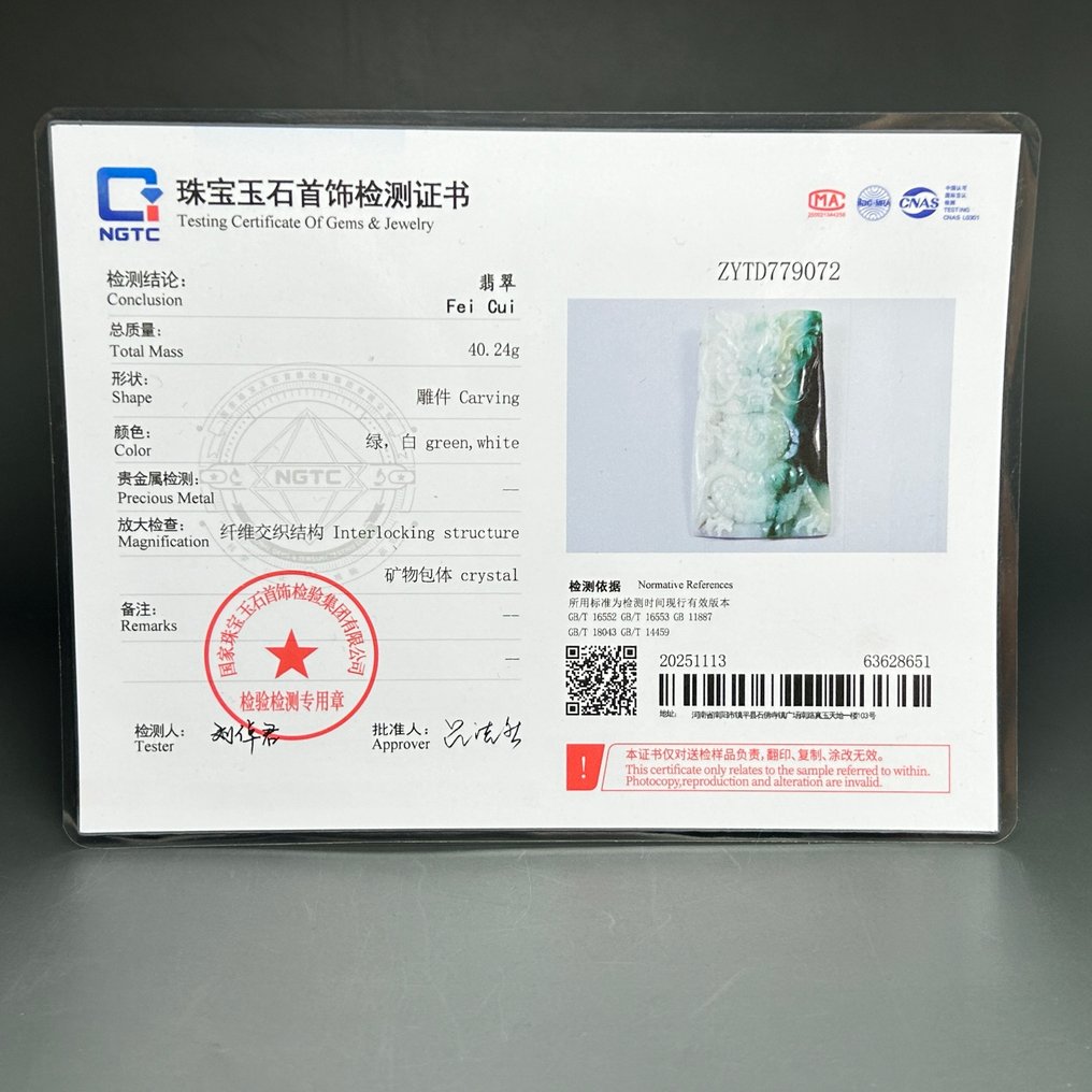 Πιστοποιημένο Jadeite (A-jade) Μενταγιόν Δράκος - Ύψος: 81 mm - Πλάτος: 46 mm- 40.24 g - (1) #3.2