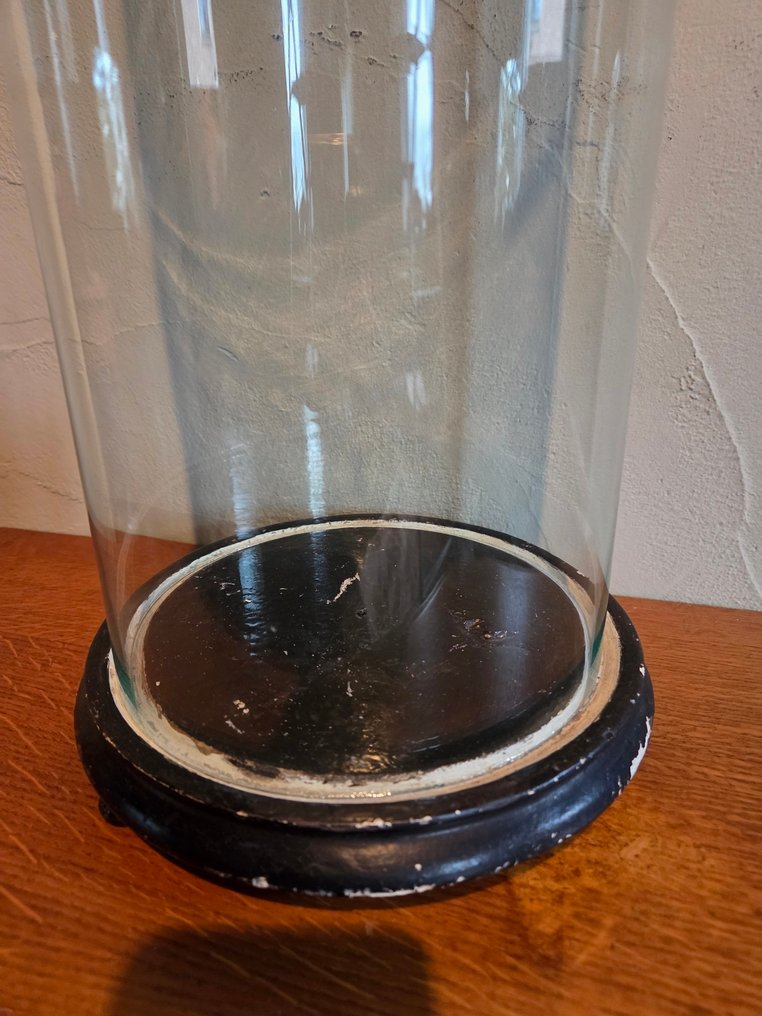 Globe - stolp - antiek - 1901-1920 - Antique round display case with original wooden base. Dimensions: height without base approximately #4.3