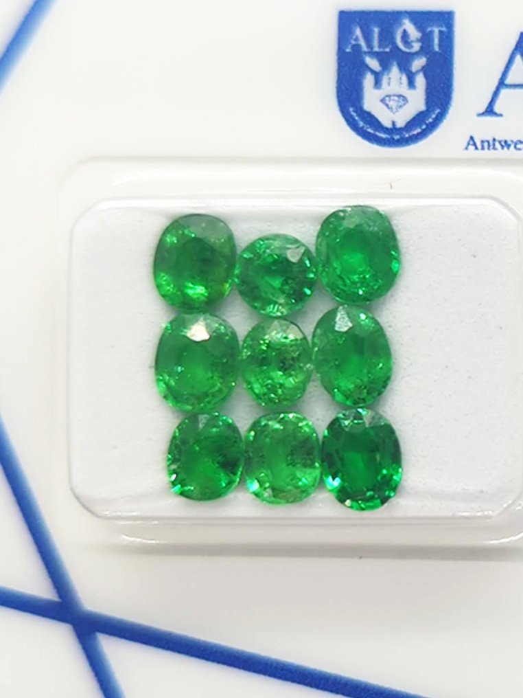 χωρίς τιμή ασφαλείας - 9 pcs  Πράσινο Τσαβορίτης  - 3.66 ct - Antwerp Laboratory for Gemstone Testing (ALGT) - Σφραγισμένο Ποιοτικό #1.0
