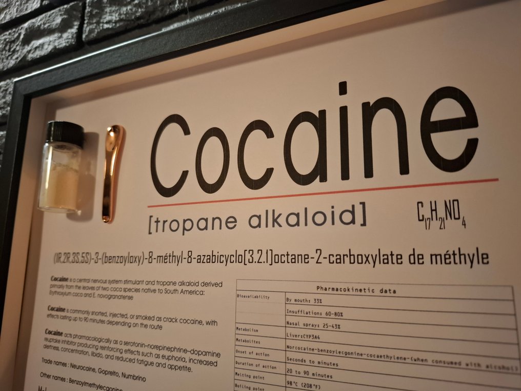 ELEMENTAL - Cocaine Menu - 32 x 23 cm #4.3