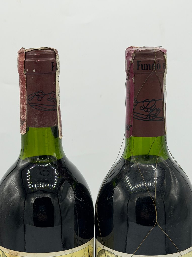 1995 & 1998 R. Lopez de Heredia, Viña Tondonia - Rioja Reserva - 2 Pullot (0.7 L) #3.2