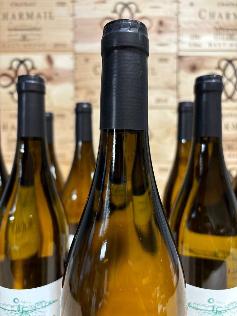 2023 Domaine de la Rocaliere - Lirac, Rhône - 12 Bottles (0.75L) #3.2