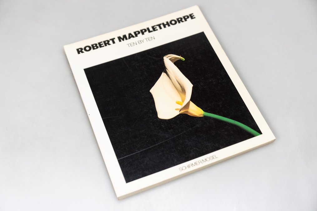 Robert Mapplethorpe - Lot with 3 books: Ten by Ten, Some Women & Lady Lisa Lyon (1st edition!) - 1983-1989 #4.3