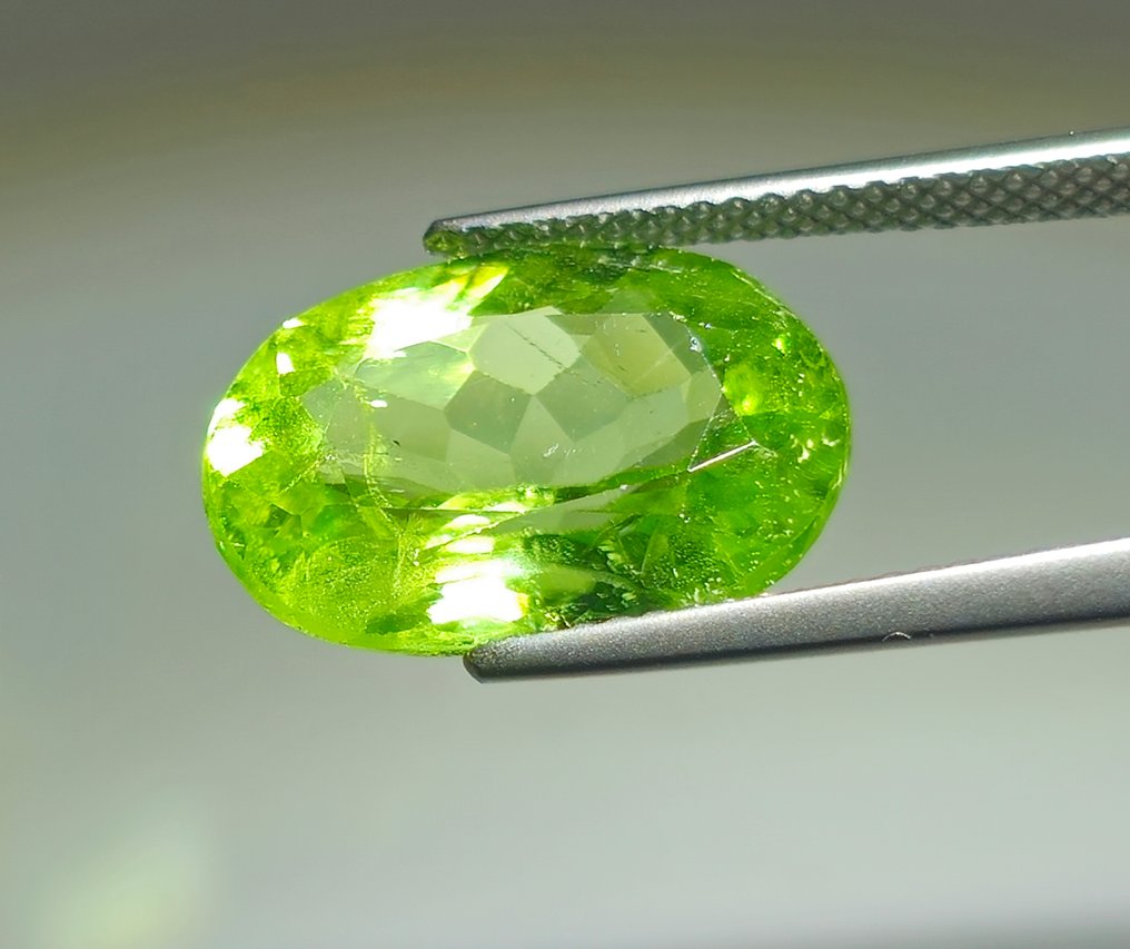 没有保留价 - 1 pcs  黄色, 绿色 橄榄石  - 9.20 ct - 国际宝石研究院（IGI） #4.3