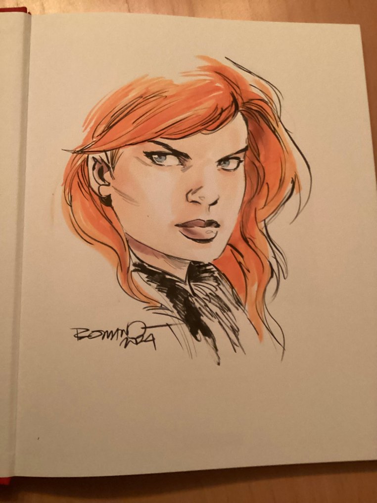 Storm - De Wisselwachters - opdrachttekening - 1 Album - First edition - 2013 #4.3