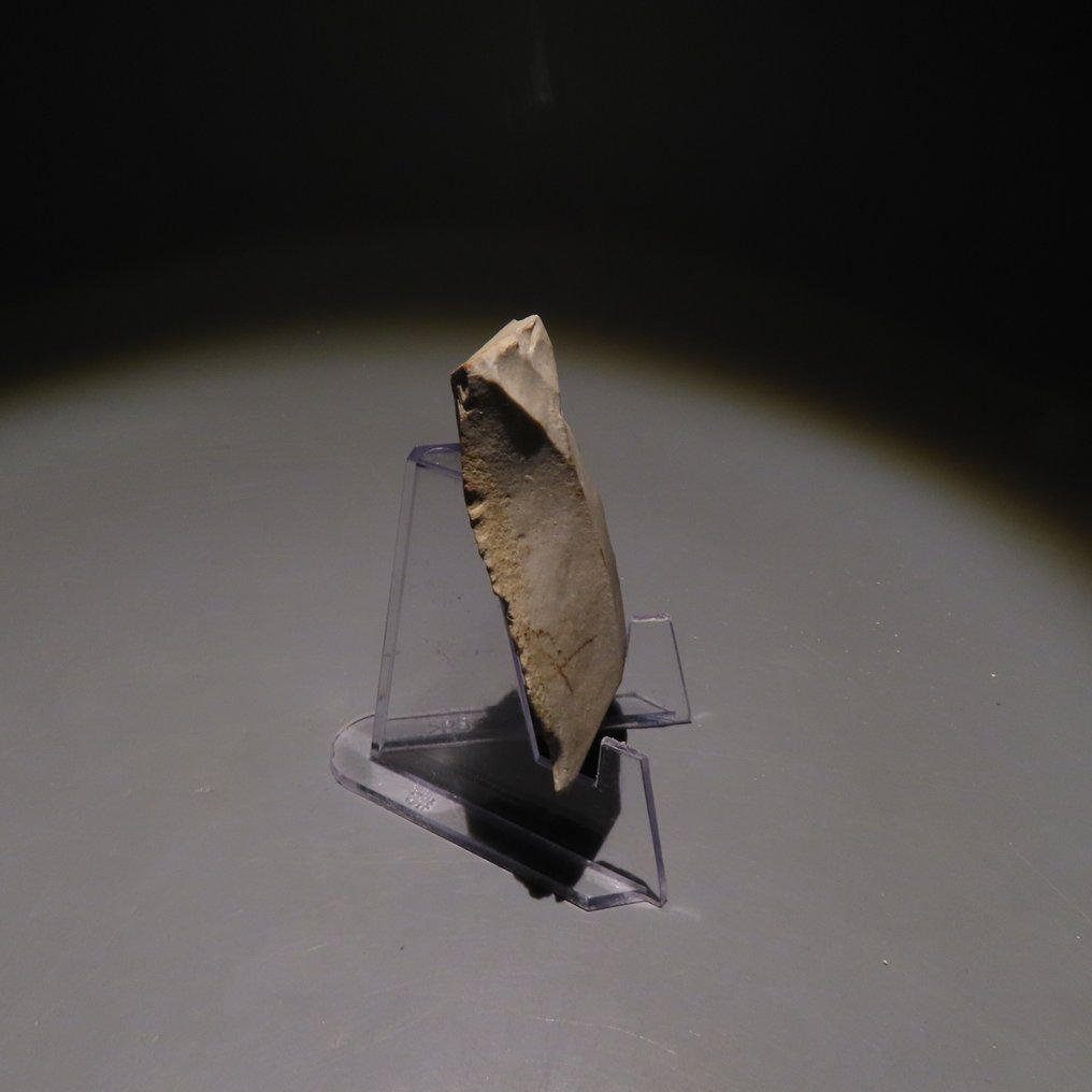 新石器时代 燧石 工具。斯皮恩,公元前4500-3500年。高5.5厘米。西班牙进口许可证。 (没有保留价) #2.1