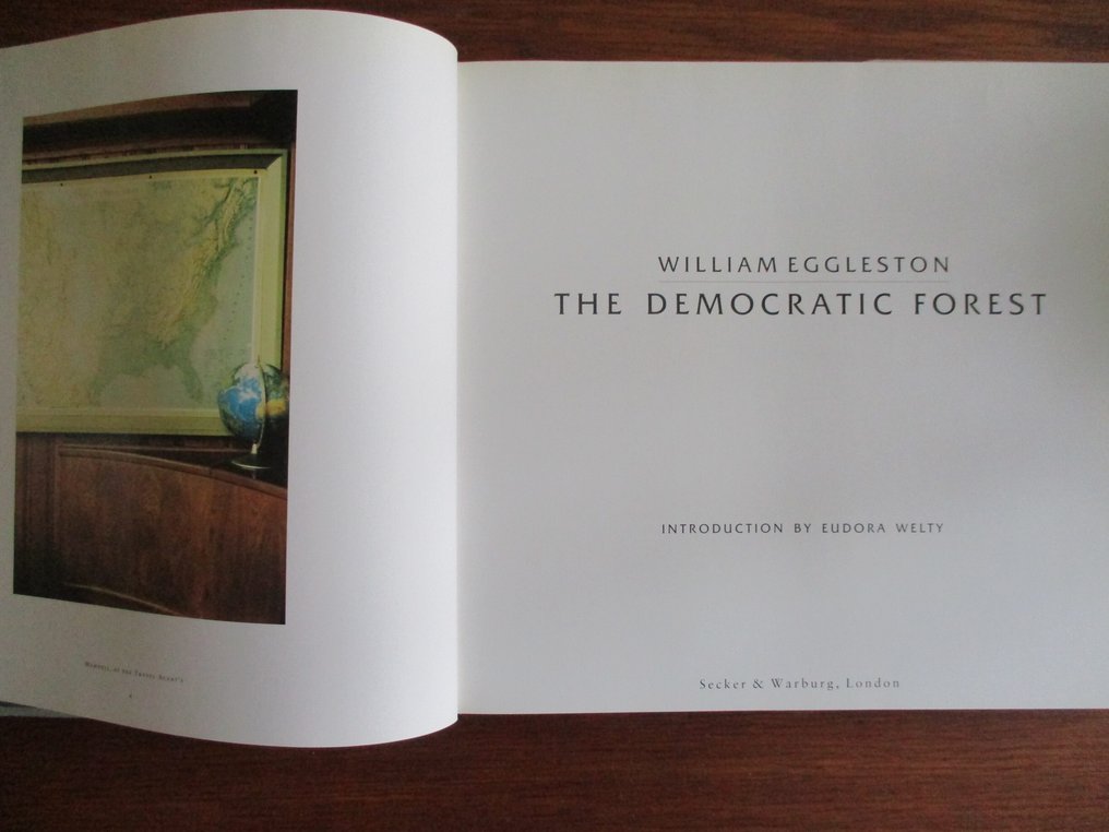 William Eggleston - The Democratic Forest - 1989 #3.2