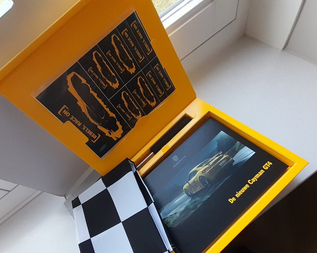 介绍盒子 - Porsche - Cayman GT4 - 2015 #4.3