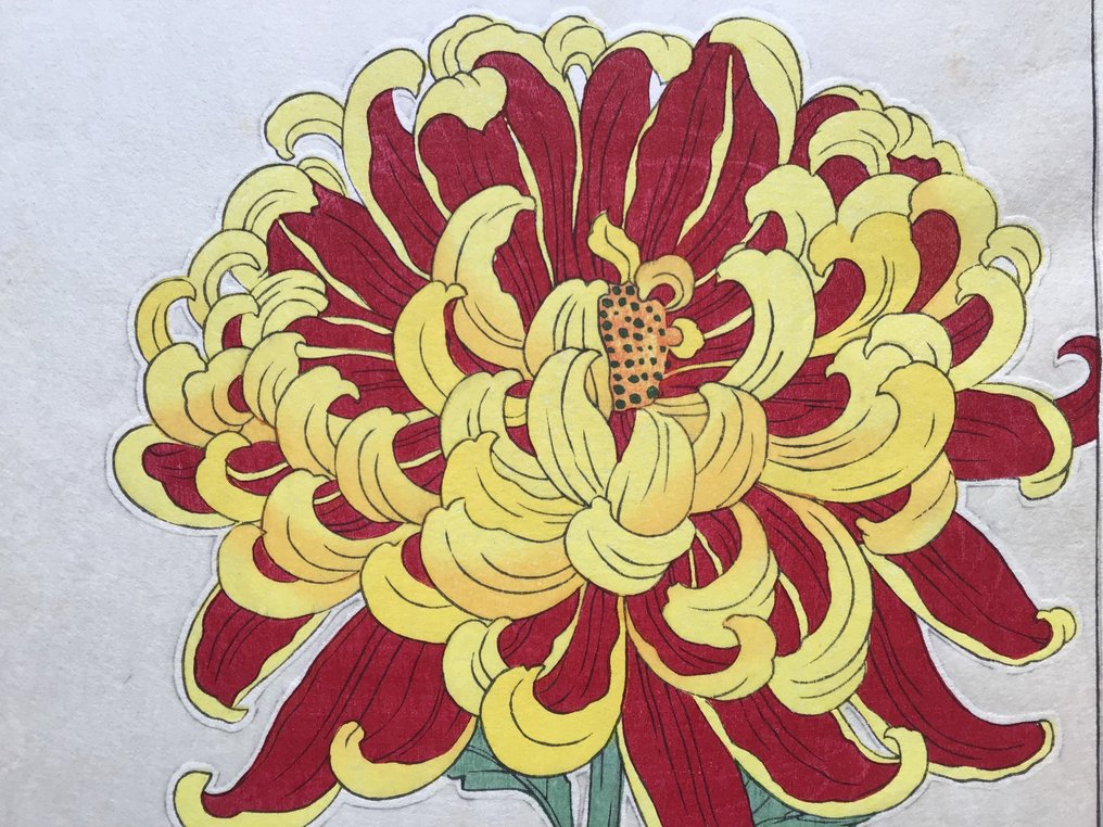 Chrysanthemum キクor菊 Kiku - Kawarazaki Shodo 河原崎奨堂 (1889-1973) - Published by Unsodo - 日本 #3.2