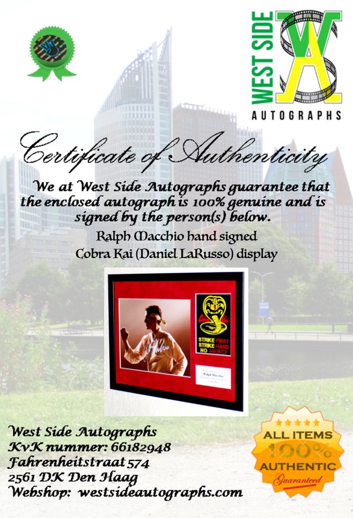 Cobra Kai - Ralph Macchio (Daniel LaRusso) Premium Framed, signed, + COA #3.2