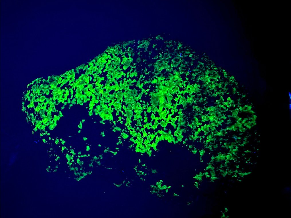 Colecție uimitoare de minerale fluorescente cu ultraviolete de lungă undă, extrem de luminoase. Fluorescent- 1071 g - (5) #2.1