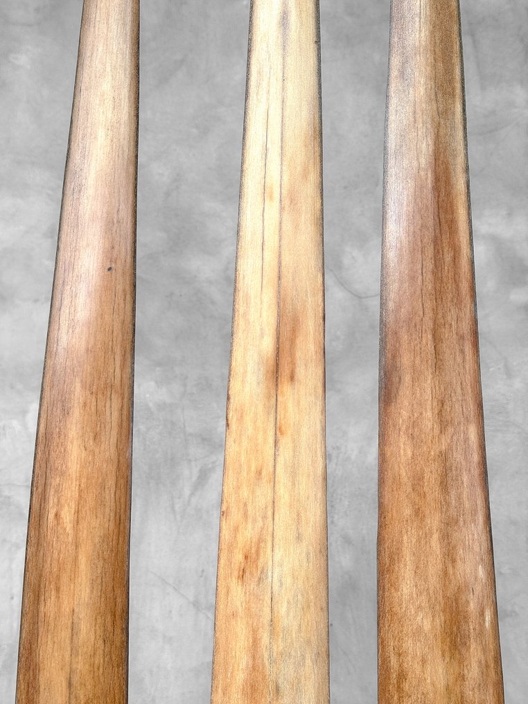 Χωρίς ελάχιστη τιμή - Σετ 3 ραμφών ξιφία σε βάθρα. Ρύγχος σε βάση - Xiphias Gladius - 74 cm - 7 cm - 7 cm- Είδη που δεν ανήκουν στο CITES #4.3