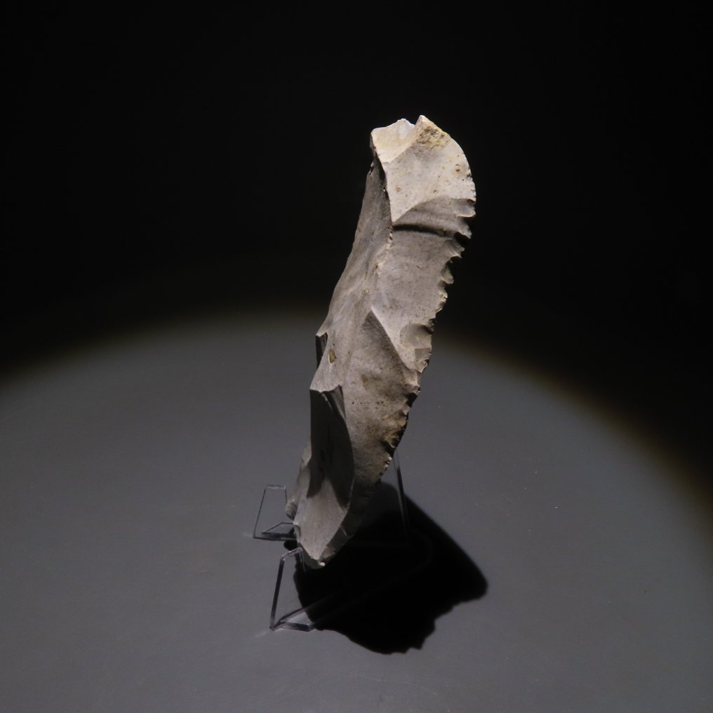 新石器時代 燧石 工具。Spiennes,公元前4500-3500年。高12厘米。西班牙进口许可证。 (沒有保留價) #1.0