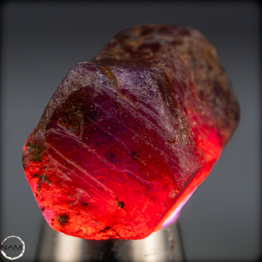 Cristal brut de rubis naturel. Fragment de pierre précieuse rare, d'une intensité lumineuse exceptionnelle - 54,55 ct- 10.91 g #4.3