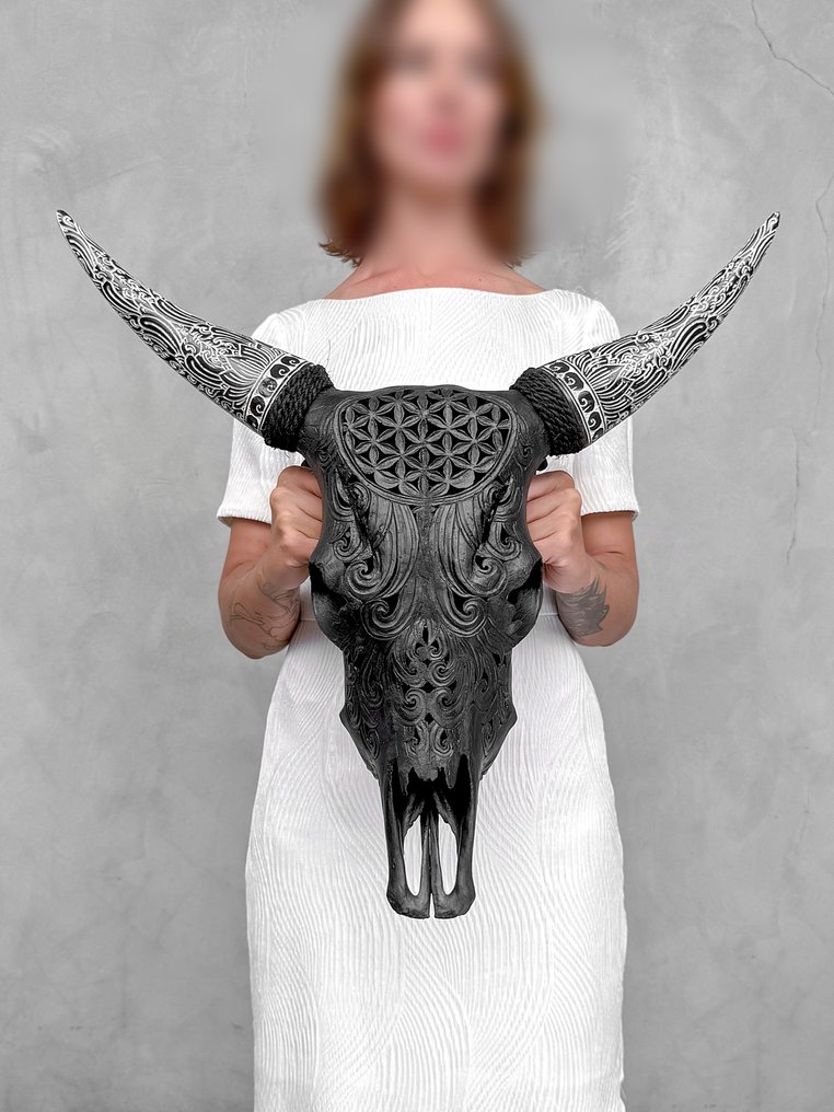 无底价 - 黑色牛头骨配波希米亚雕刻角 - 生命之花图案 雕刻的颅骨 - Bos Taurus - 56 cm - 57 cm - 16 cm- 非《濒危物种公约》物种 #2.1