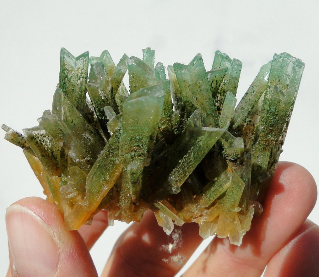Selenite - Relva Verde GYPSUM com Atacamite, Herbertsmithite e outros minerais raros de cobre!- 29 g #1.0