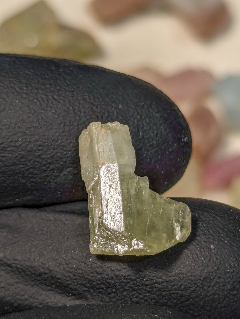 404.5 ct - Lot of Natural Tourmaline Crystals, Pink and Green from Brazil Rough - Height: 25 mm - Width: 12 mm- 80.9 g - (54) #4.3