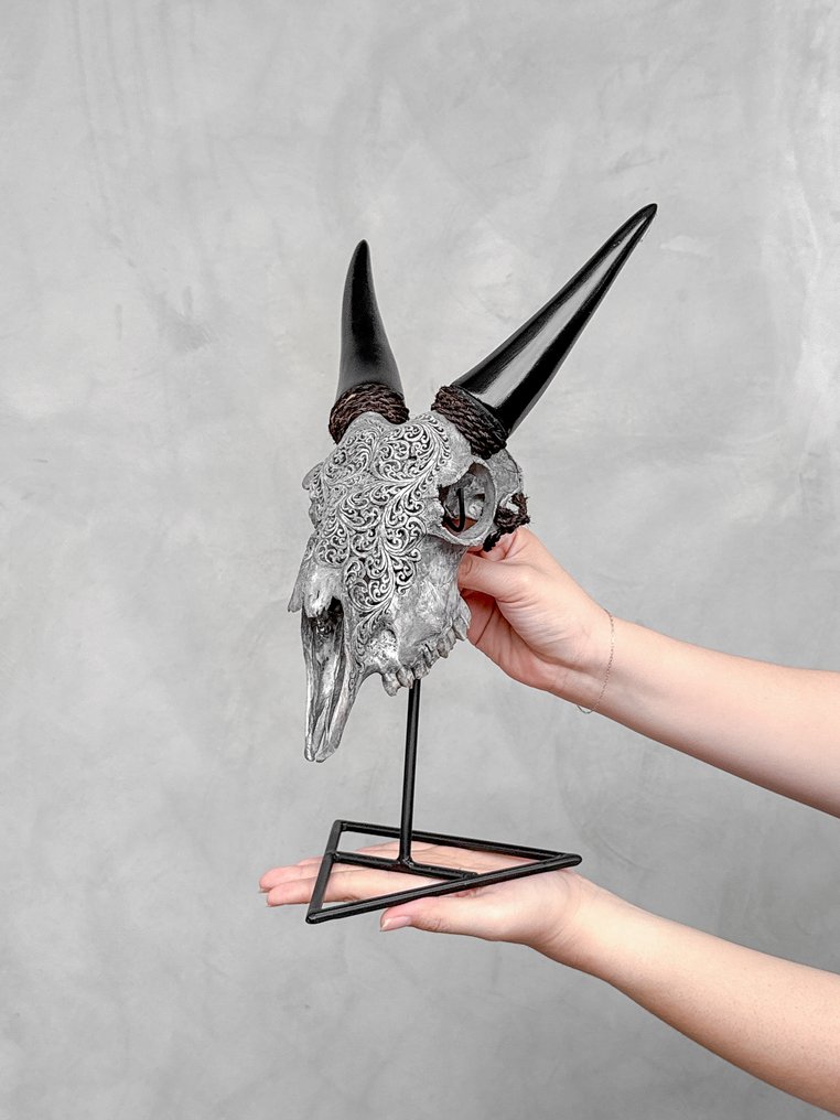 Χωρίς ελάχιστη τιμή - Αυθεντικό γκρίζο σκαλιστό κρανίο κατσίκας - Μοτίβο φτέρης. Λαξεμένο κρανίο - Capra aegagrus - 38 cm - 21 cm - 16 cm- Είδη που δεν ανήκουν στο CITES - (1) #1.0