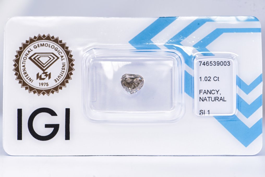 没有保留价 - 1 pcs 钻石  (天然色彩的)  - 1.02 ct - 梨形 - Fancy 稍帶棕色的, 绿色 黄色 - SI1 微内含一级 - 国际宝石研究院（IGI） - VG #1.0