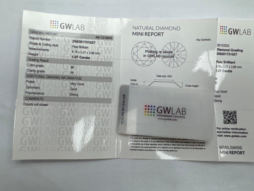 No reserve price - 1 pcs Diamond (Natural) - 1.07 ct - Pear - H - I1 - Gemewizard Gemological Laboratory (GWLab) #3.2