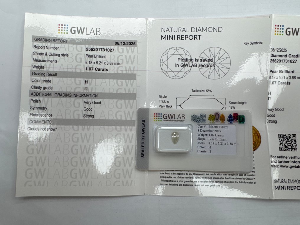 No reserve price - 1 pcs Diamond (Natural) - 1.07 ct - Pear - H - I1 - Gemewizard Gemological Laboratory (GWLab) #1.0