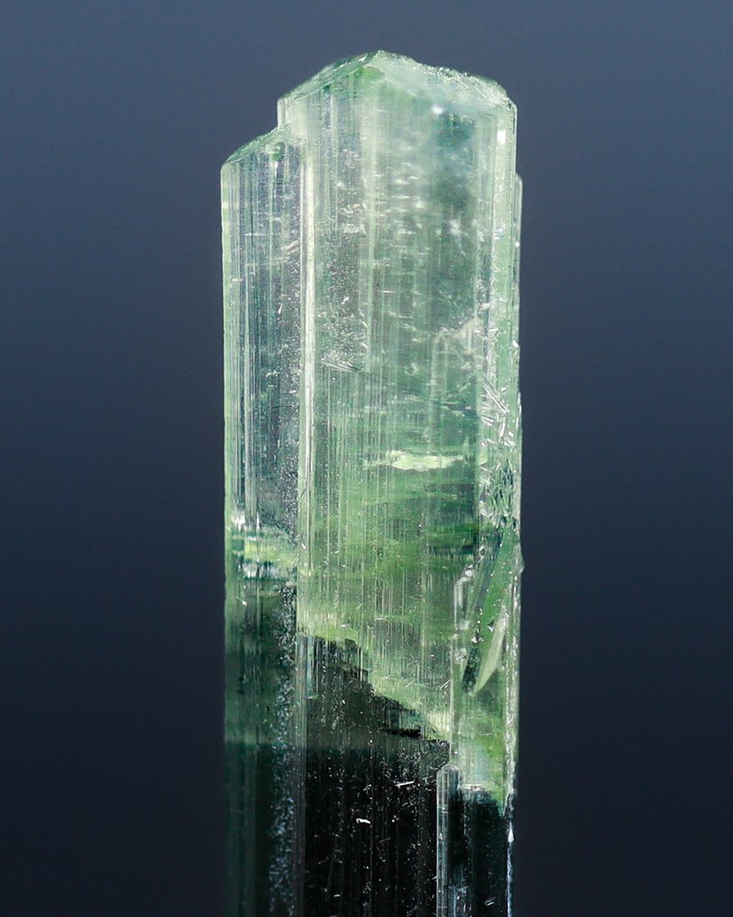 Korkeatasoinen Indicolite-turmalinkristalli • Harvinainen vihreä Apex Transition - Korkeus: 32 mm - Leveys: 5 mm- 1 g - (1) #1.0