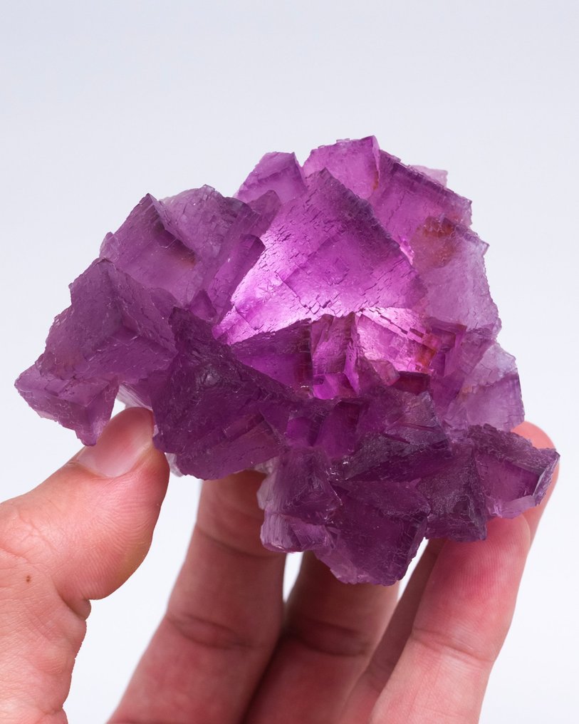 Grande fluorite viola piastra flottante - Altezza: 4.7 cm - Larghezza: 8.1 cm- 275 g - (1) #1.0