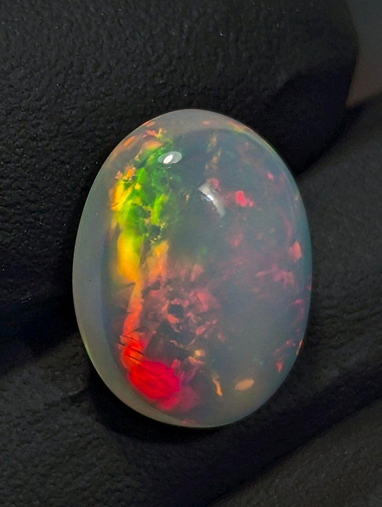 6.06 ct - Beautiful Natural Precious Welo Opal, with intense play of color. Cabochon - Height: 14.5 mm - Width: 11 mm- 1.21 g - (1) #1.0